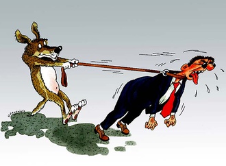 Gallery of Cartoons by Valentin Druzhinin-Russia