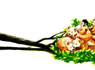 valentin georgiev bulgaria