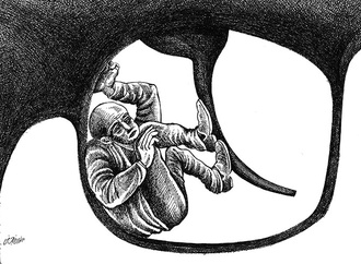Gallery of the Best World Cartoon-Part 1551