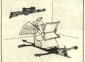 quino11