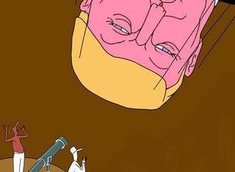 cartoon section516