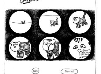 quino argentina 3