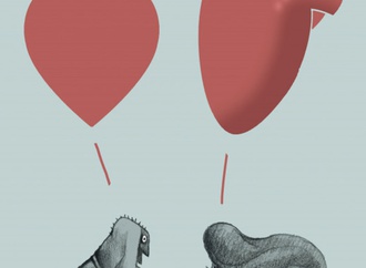 organ donation114