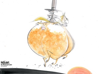ann telnaes sweden 88