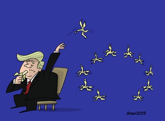 cartoon section50