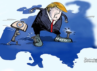 cartoon section606
