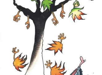 musa gumus13