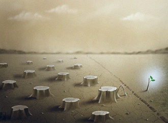 the environment
