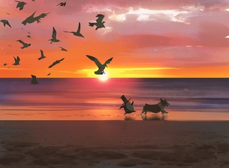 atey ghailan usa 119