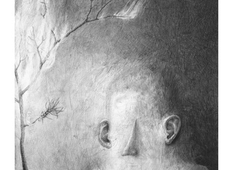 stefan zsaitsits6
