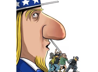 waldo matus4