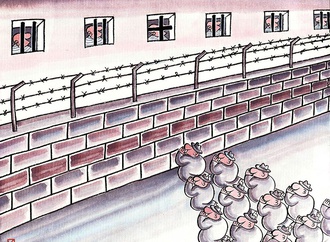 xiao qiang hou china 28