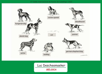 luc descheemaeker