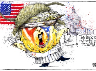 mark winter new zealand 3