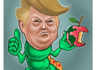 cartoon section31