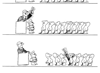 quino_46
