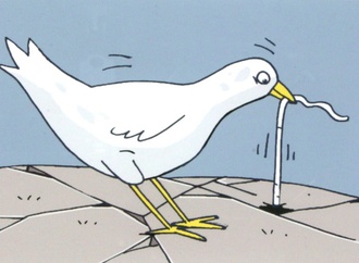 hicabi demirci turkey 77