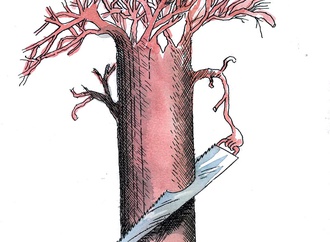 velickovic miodrag serbia 78