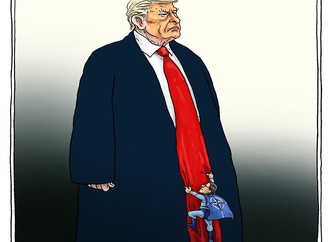 joep bertrams11