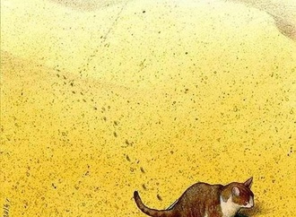 pawel kuczynski