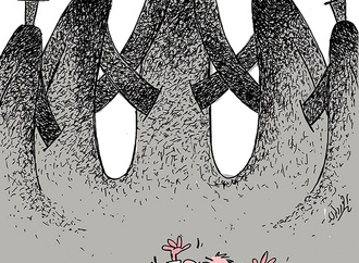 mahmoud barkhordari iran 34