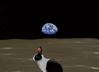 robert deyber usa 3