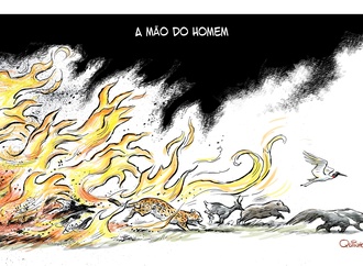 quinho brazil21