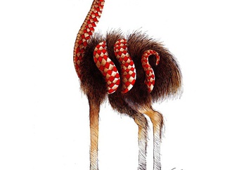 
                                                                                                  Oguz Demir - Turkey