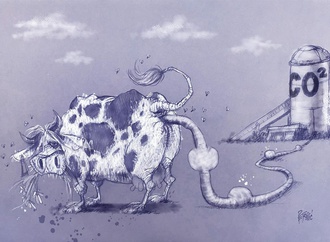 zoran petrovic6