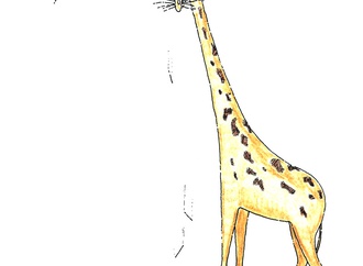 vladimir stevovic serbia 5