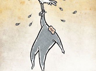 alireza pakdel iran 1
