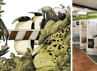 Gallery of Cartoons by Ares-Cuba