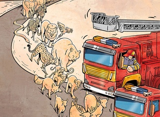 alireza pakdel iran2 4