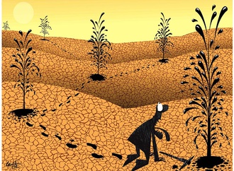 
                                                                                                  Marcio Leite - Brazil