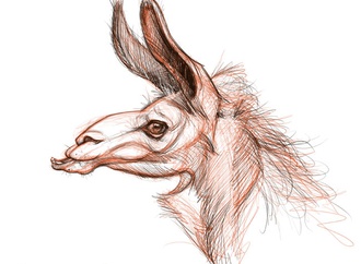 Gallery of Caricatures by Jason Seiler From USA