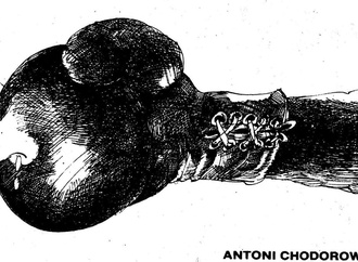 antoni chodorowski 8