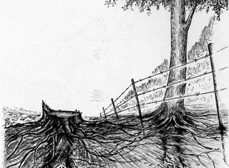 chaiwat chinnasot thailand