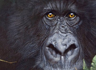 Gallery of Caricatures by Sebastian Kruger From Germany