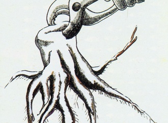 homayoum abdolrahimi iran