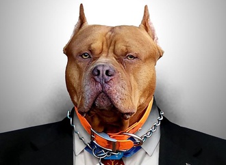 The Best World Cartoon-part 156