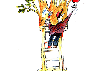 pavel constantin romania 3