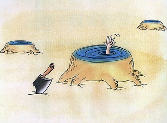 the environment