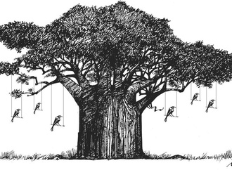 oswaldo miran 15