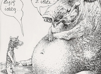 andreu franquin222