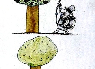 cristian marcu romania 2