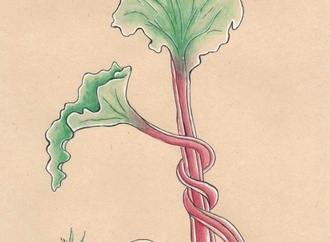 Gallery:6th International Rhubarb Cartoons Contest, Romania 2024