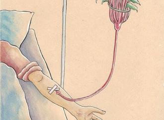 Gallery:6th International Rhubarb Cartoons Contest, Romania 2024