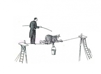 jiri sliva 11