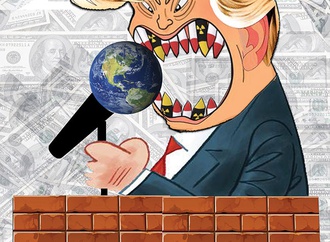 cartoon section507