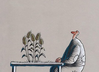 musa gumus 90